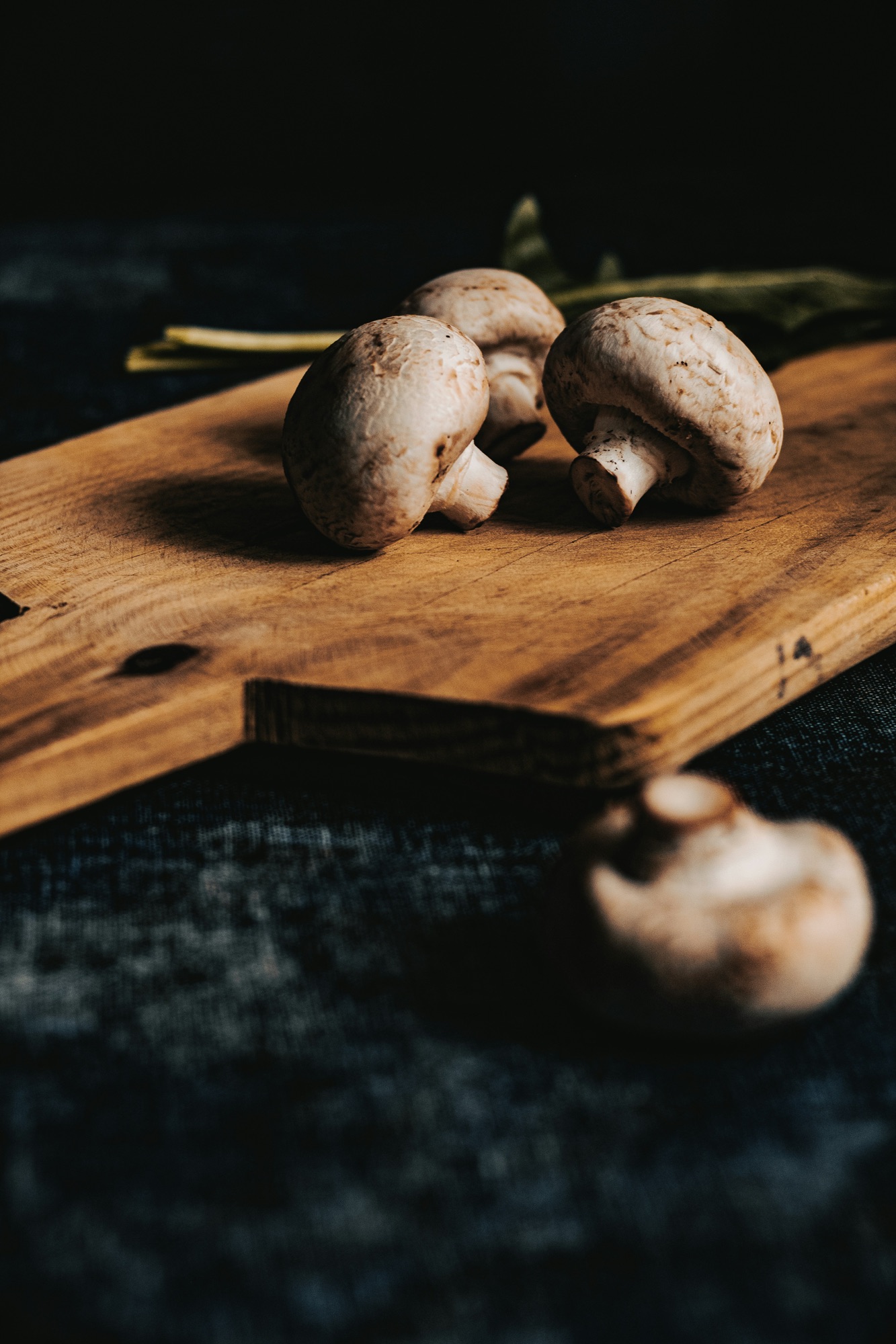 Never Wash Mushrooms Before Storing Them. Here’s Why They Spoil Faster